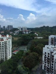 The Hillier (D23), Apartment #478225691